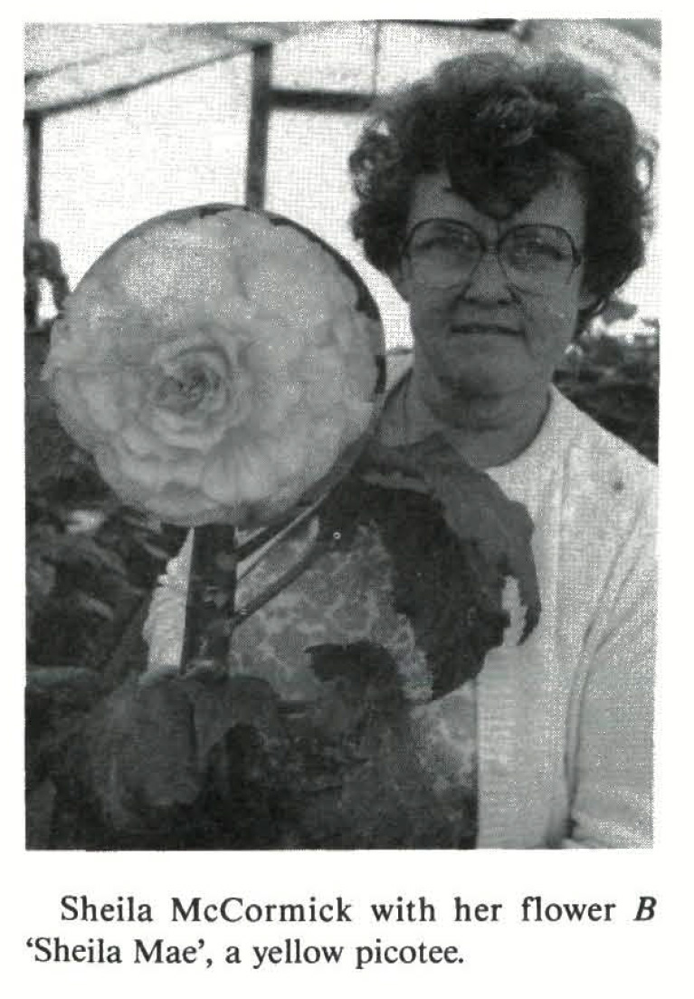 B. ‘Sheila Mae’